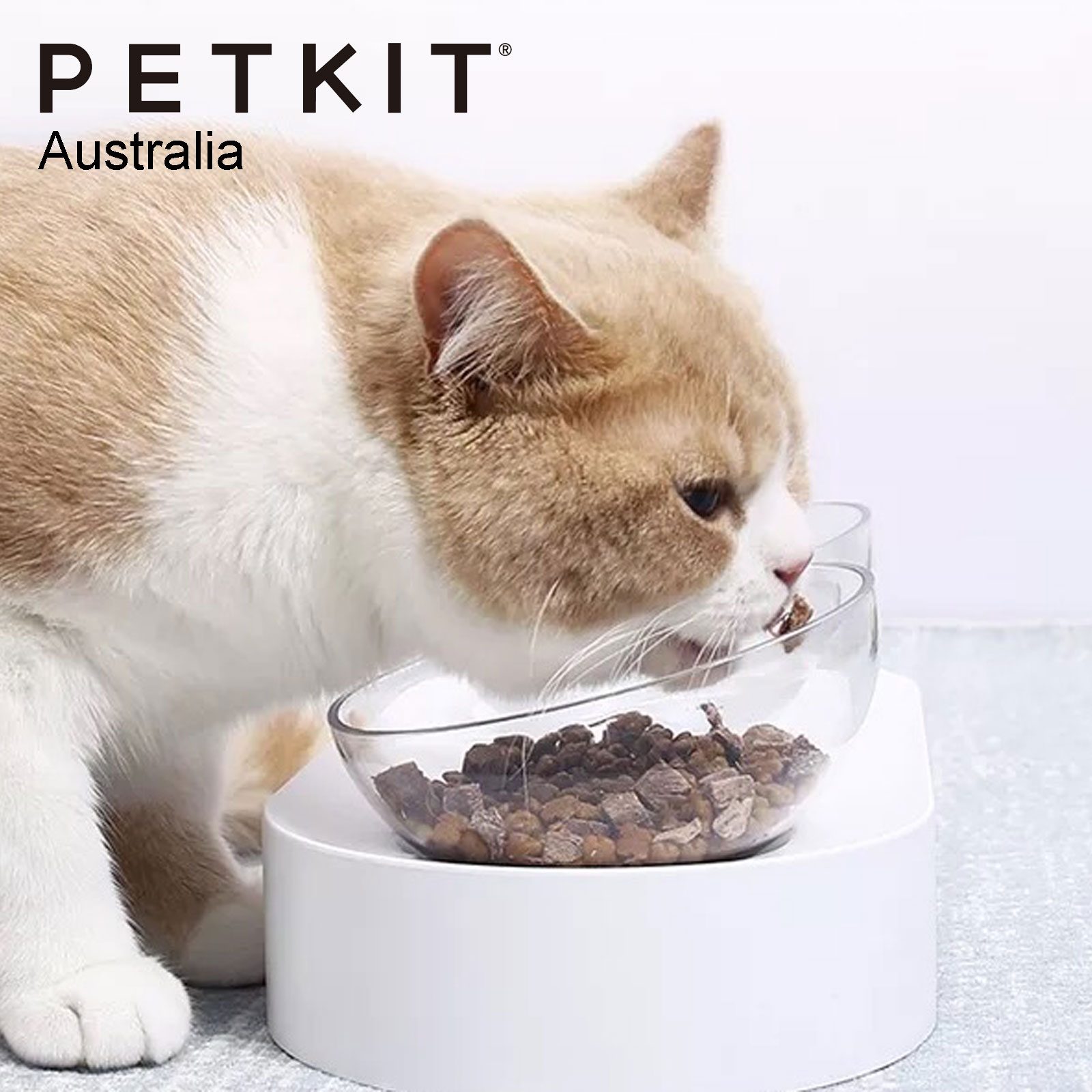 PETKIT FRESH NANO 15 Degree Adjustable Feeding Bowl - SINGLE - Image 5