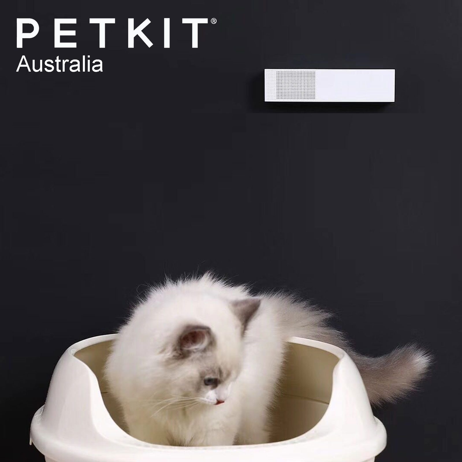 PETKIT PURA AIR Smart Odor Eliminator Air Purifier - Image 6