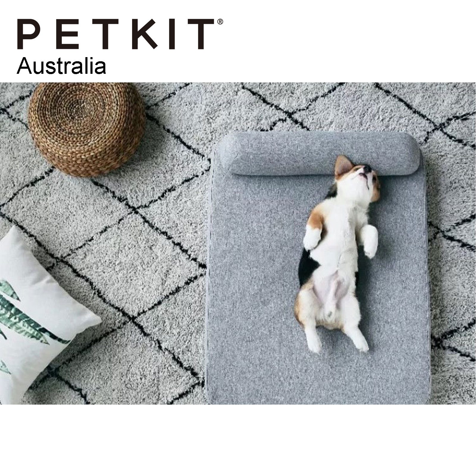 PETKIT Deep Sleep Pet Mattress Comfort Memory Foam Two Layers Pet Bed - L - Image 3