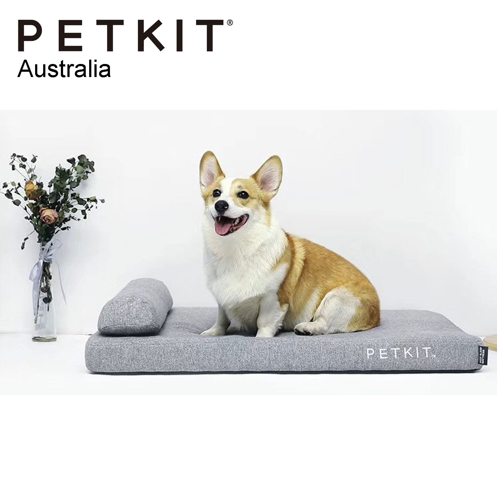 PETKIT Deep Sleep Pet Mattress Comfort Memory Foam Two Layers Pet Bed - L - Image 2