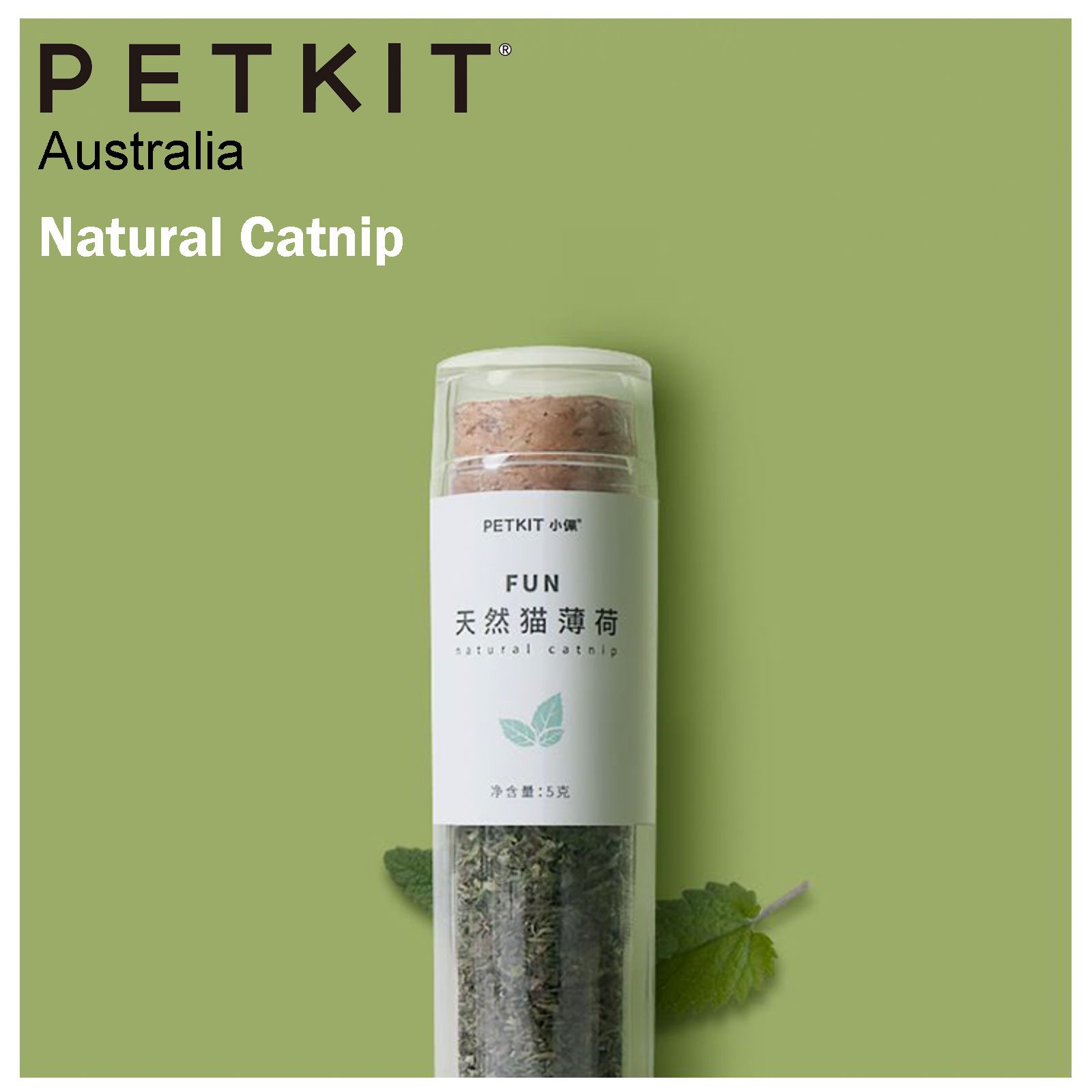 PETKIT FUN Natural Catnip Catmint Catgrass - Image 3