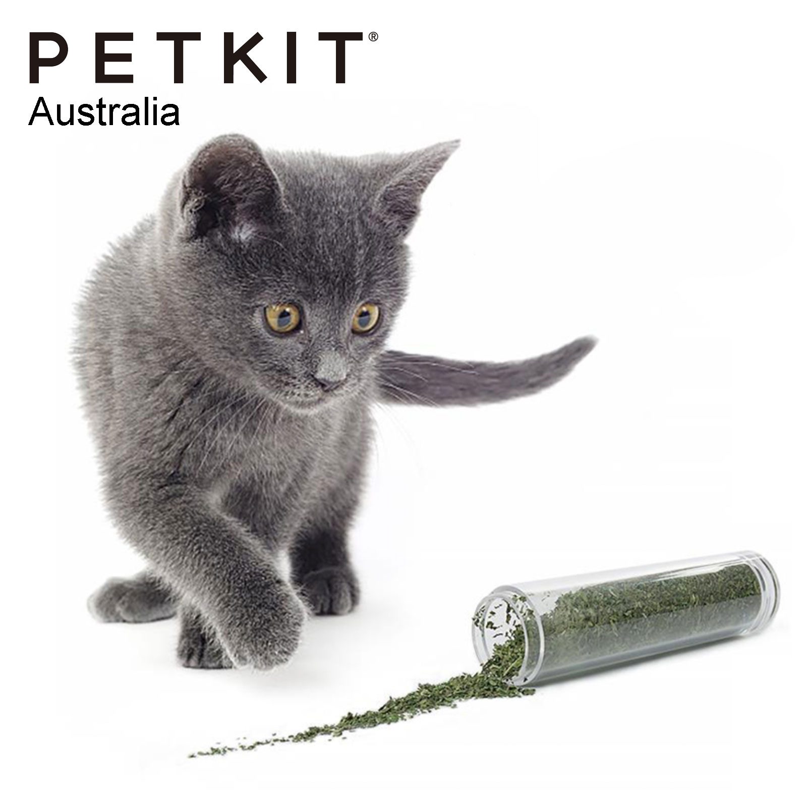 PETKIT FUN Natural Catnip Catmint Catgrass - Image 2