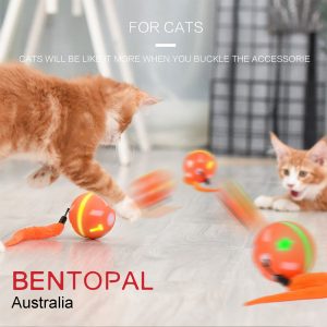 Smart Ball Dog Toy Australia