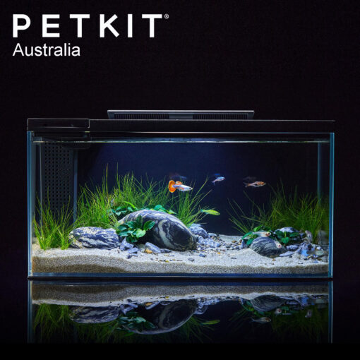 PETKIT Eraark Smart Fish Tank Ornament - The Stone Park - Image 2